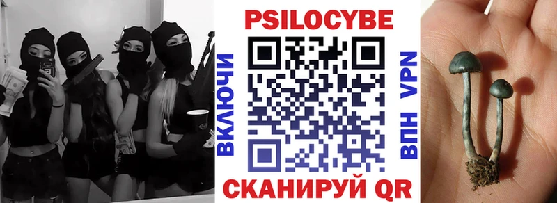 Купить закладки  Игарка  Псилоцибиновые грибы Cubensis 
