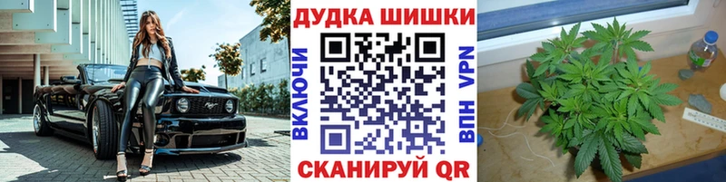 Бошки марихуана VHQ  Купить закладки  Игарка 